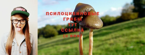 круглые Бородино